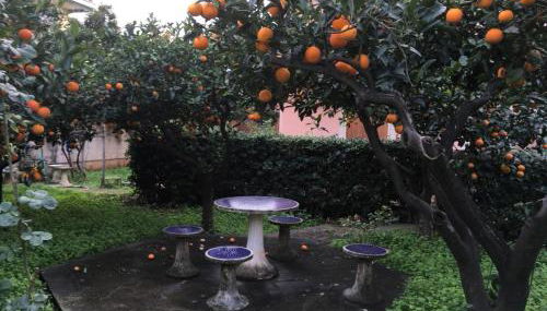 Appartamento in Villa - Photo 3, Garden