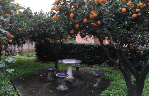 Appartamento in Villa - Photo 3