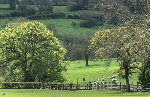 The Old Coop Barn - Foto 34