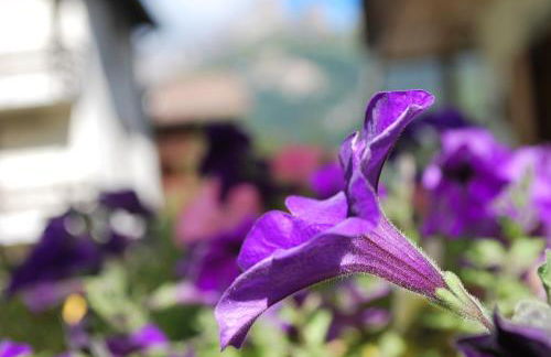 Villa L'Aida - Foto 37