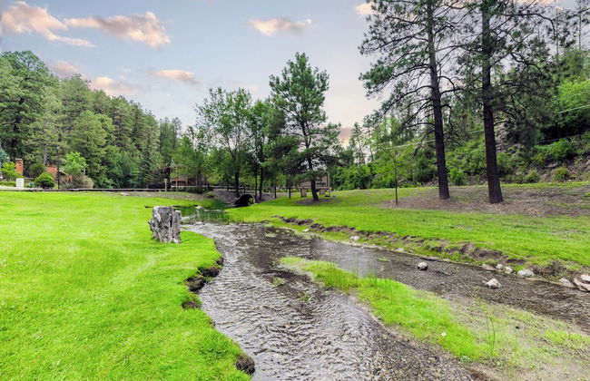 Canyon Creek Lodge 208 - Wildcat Den - Foto 16