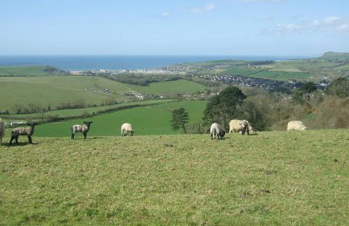 Farthings - 19292 - Foto 6