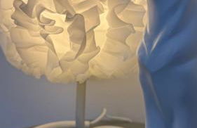 Gîte Relax'O'Zoo à 4min du Zoo - Foto 33