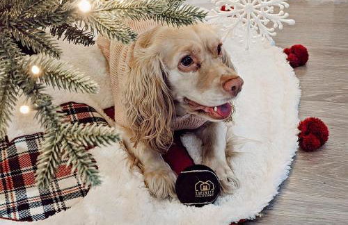 Houston Getaway by Downtown Pool Table Pets - Photo 27