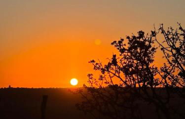 Eco Pousada Por do Sol - Foto 69