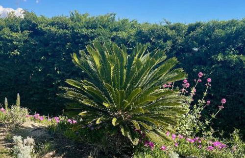 Villa superbe vue mer calme sans vis-à-vis - Foto 63