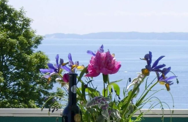 Sea View 1 - Bella Vista - Foto 16