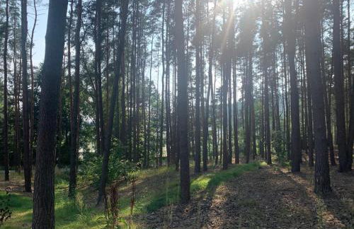 Góra Spokoju Osada klimatyczna-leśna - Foto 24