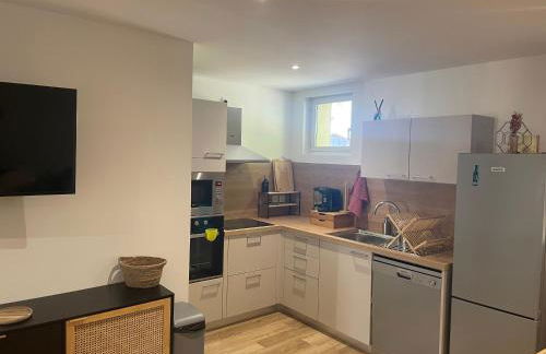 T3 refait à neuf - Photo 3