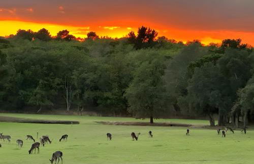 Bacom Apartment - Foto 14