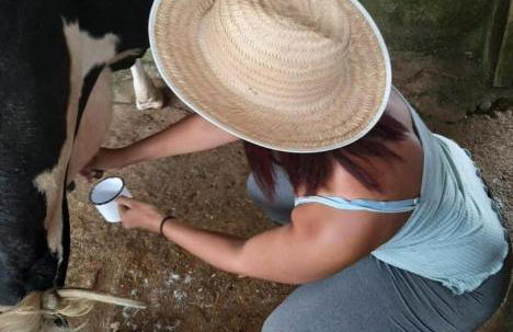 Fazenda Montanhes - Foto 56