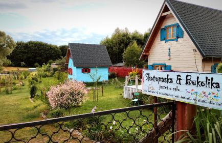 Skotopaska & Bukolika - Foto 37