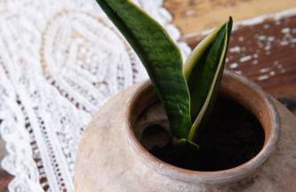 Zummer Frei Casa Vacanze Terra - Foto 6