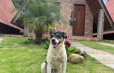 Chalés Flor do Caparaó em Patrimonio da Penha - Foto 5