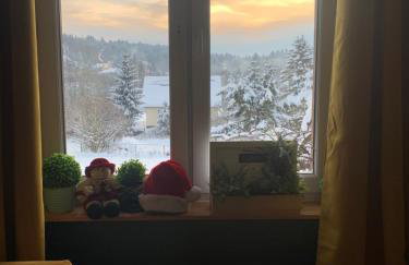 Ropienka Ski - Foto 58