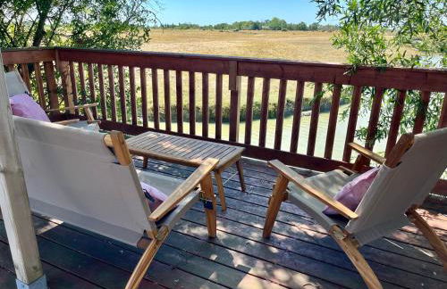 La Maison des Marais de Sallertaine - Foto 43