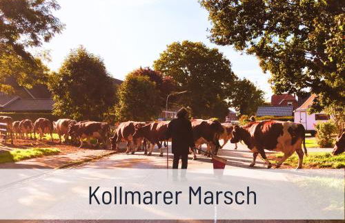 Elbe Boardinghouse - Foto 73