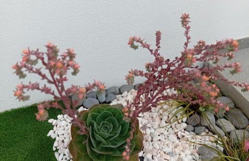 Holiday House Caetano - Foto 45