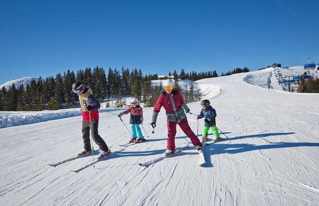 Beautiful Apartment in Viehhofen With hot tub - Foto 25