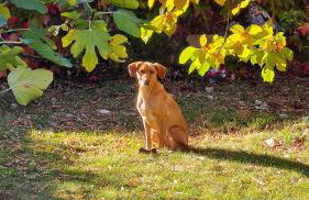 Alla Cantina - Foto 33