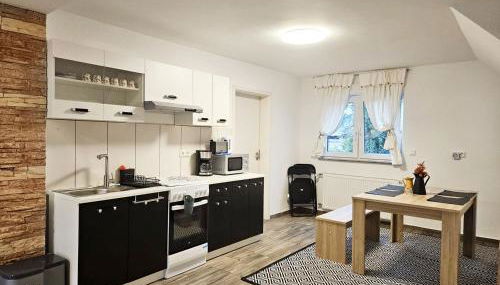 Work & Stay in Mannheim - Foto 4, stove, pet friendly, toaster, minibar