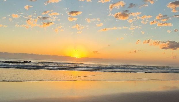 Shore Breeze Studio - Foto 4, Playa