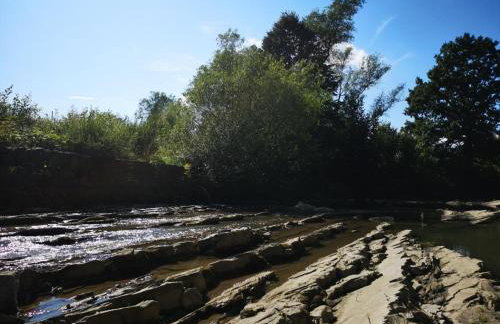 Domek "PRZYBYSZÓWKA" Bieszczady - Foto 23