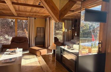 Before making a request, please read my host profile at the bottom of the page # Chalet Pinar - ski-in I ski-out with terrace - Foto 14