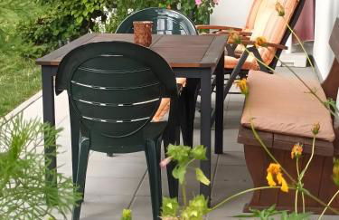 Aufblühen in Menzenschwand - Foto 31