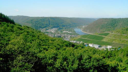 Ferienwohnung Hilger - Foto 4