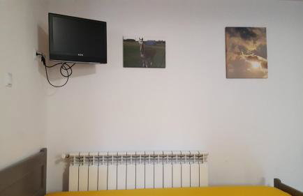 Alpaka-Ranczo AFF - Foto 59