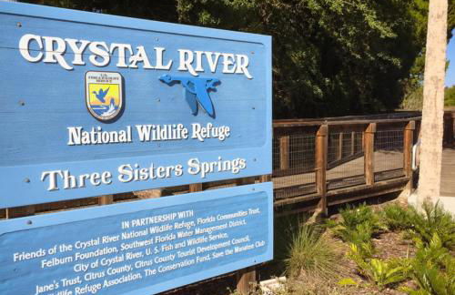 New 6min to 3 Sister Springs, Spacious, Fun with Game Room - Foto 51