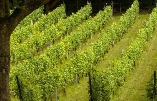 Old Bakehouse - Uk42477 - Foto 28