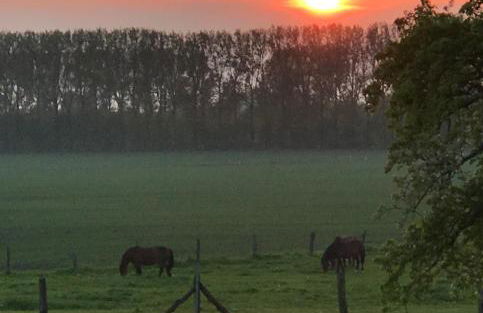 Ferienresidenz am Salzhaff - Foto 47