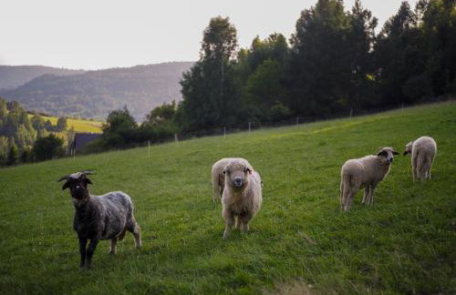 HillOut - Domek w Milówce - Workation - Praca zdalna - Foto 68