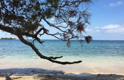 Casa Conte Istria - Photo 47