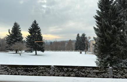 Luna & Stella Apartments, Sankt Englmar - Foto 23