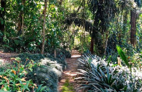 Loft Aconchegante em Meio à Natureza - Foto 47