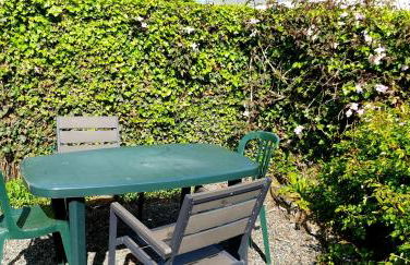 Les Clématites - Foto 2