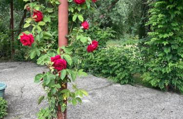 CASA RURAL LA FRESNEDA DE TENZUELA - Foto 9