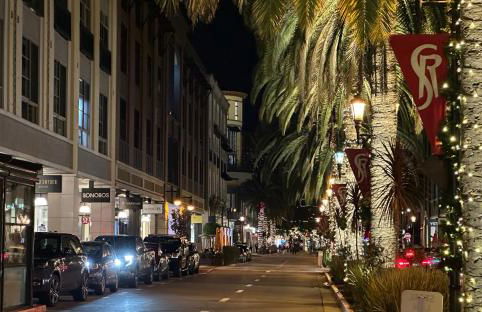 Santana Row Garden Retreat Private Executive Residence with Koi Pond and Waterfall Walk to Santana Row Valley Fair Dining and Shopping Private Entrance - Photo 8