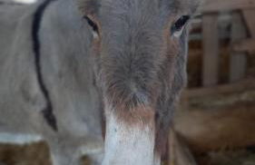 Gîte La Mosaïque - Foto 13