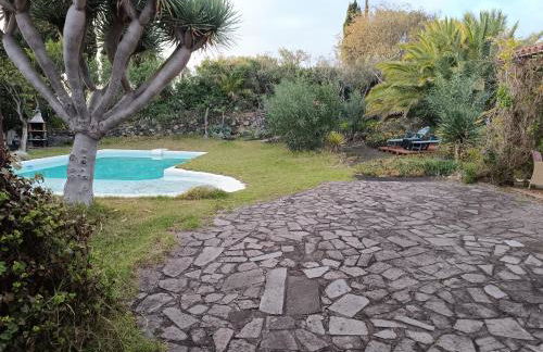 AAA Bandama Lago - Foto 11