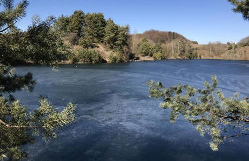 Rauszeit-Tiny Waldblick - Foto 46