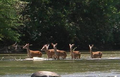 Wineries Hot-Tub Indoor Pool Fireplace Gym Huge Master Bedroom - Foto 73