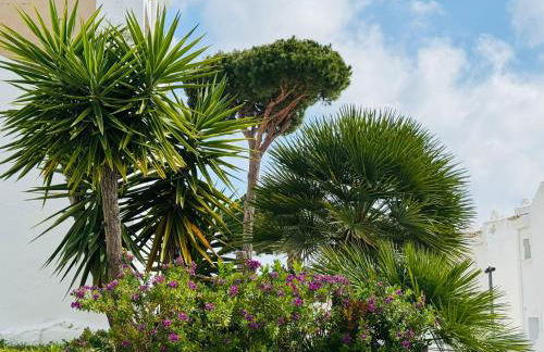 Casa Silvia Marbella - dom w kompleksie hotelowym - Foto 42