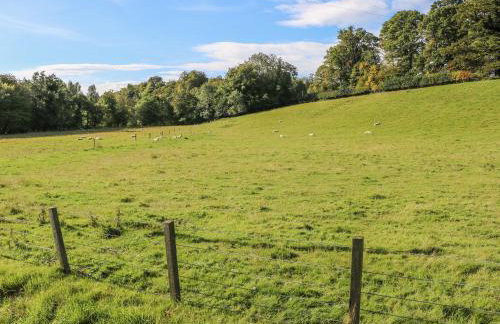 Bonjedward Mill Farm Cottage - Foto 24