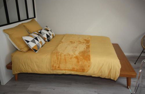 DU SEL A LA VIE, grand studio entre marais et océan - Foto 7