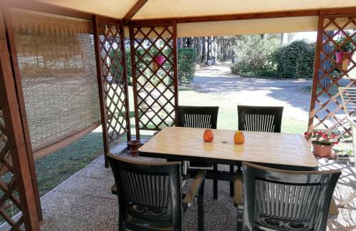 Boschetto del Lago - Foto 120