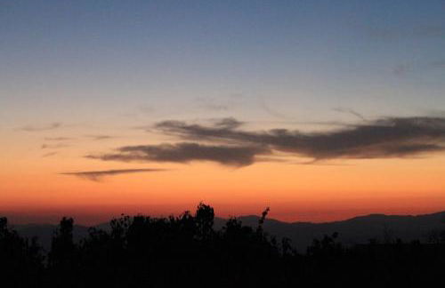 Bosco Ciancio - Foto 117